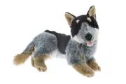 Gallagher (Cattle Dog - 35cm lying)