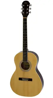 Aria AP-15 Parlour Acoustic Guitar - Natural Finish, Prodigy Series