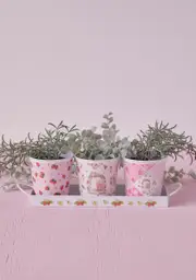 [Dolls Kill X Strawberry Shortcake] Spring Up Herb Pot Set