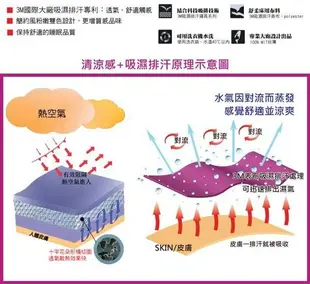 【CERES】馬卡龍雙色3M吸濕排汗專利技術透氣涼感紗薄被套2色