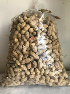 Raw IN -SHELL Peanuts 5 lb - Wild Birds, Blue Jays, Cardinals, Woodpeckers