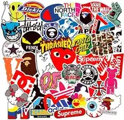 100pcs Cool Brand Skateboard Teens Skate Stickers for Laptop Water Bottles Car Luggage Bicycle Helmet Motorcycle Bumper (100pcs Skate Logo)