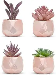Set of 4 Desk Plants in Rose Gold - Office Decor for Women, Indoor, Bookshelf, Bedroom, Mirror, Home and Desk Decor – Pink Faux Succulents Geometric Ceramic Planter - Room Decor Fake Plants Plant Pot