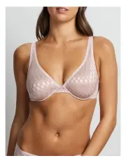 [Fine Lines] Graphic Underwire Plunge Bra in Rose