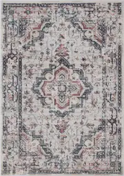Splendor Alger Multi Plush Rug