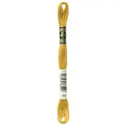 DMC 6-Strand Embroidery Cotton 8.7yd Medium Topaz