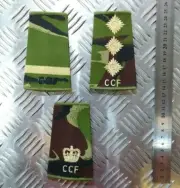 Woodland DPM Camo Combined Cadet Force CCF Rank Slides Genuine British Army NEW
