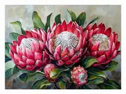 Waratah Canvas Print
