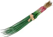 Cabilock Realistic Simulation Onions Lifelike Scallion Models for Kitchen Decor Children's Toys