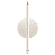 Faber-Castell Polychromos Pencil Warm Grey I 270