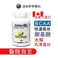 在飛比找樂天市場購物網優惠-加拿大 安寶錠BCAA α-乳清蛋白水解物(240粒) Am