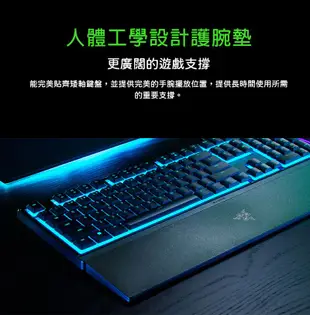 Razer ORNATA V3 X 雨林狼蛛鍵盤 靜音薄膜按鍵軸/防潑水/人體工學護腕墊