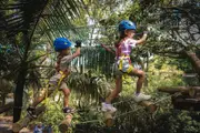 Junior Tree Ropes Course - St Ives