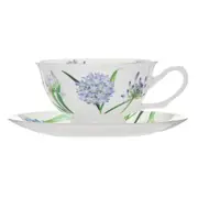 2pc Ashdene Botanical Symphony 220ml Cup & Saucer Set Fine Bone China Agapanthus
