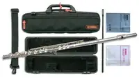 在飛比找Yahoo!奇摩拍賣優惠-【現代樂器】現貨免運！Yamaha Flute YFL-22