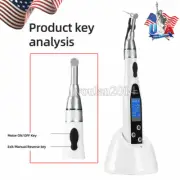 AZDENT Dental Endo Motor Root Canal LED Tratamiento la pieza de mano de ángulo