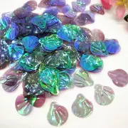 400Pcs Large Shell Sequins 18mm Transparent Loose Sequin Crafts Sewing Materials