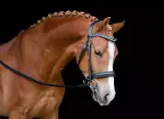 Bridle - Black Leather Cob, Snaffle - Pimp My Pony