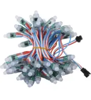 DC12V 500pcs WS2811 Dream Color Changing RGB Addressable LED Pixel String Light