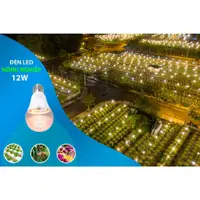 在飛比找蝦皮購物優惠-Hg 農業芽燈泡 12w 黃燈