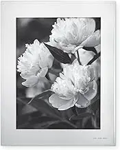 Kate Spade "Darling Point" Silverplate 8" x 10" Photo Frame