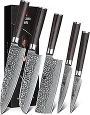 XINZUO Damascus Steel 5-Piece Kitchen Knife Set, Professional Chef Knife Set, Chef Nakiri Santoku Utility Fruit Knife Hammered Surface Cooking Knife with Pakkawood Handle - He Series