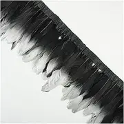 QR 2Meters Gold Silver Dipped Goose Feathers on Tape Fringes Ribbon Feather Trim Crafts Dress DIY Clothing Sewing Trimmings Plumes D19 (Color : 31)