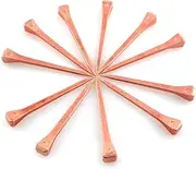 DZS Elec 25pcs E5 Horseshoe Nail 2.1 Inch Copper Plating Steel Horse Shoe Nails Craft High Tensile Strength Precision Nails