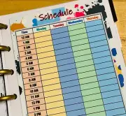 Schedule Daily Hourly Week Dashboard Insert for use with the MINI Happy Planner