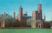 Vintage Smithsonian Institution Washington D.C. Unposted NOS Postcard
