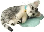 Hamanaka H441-365 Felt Wool Mascot My Pet Silver Tabby Cat Kit F/S w/Tracking#