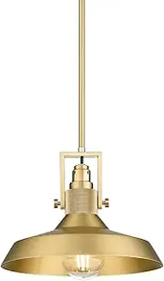 EMLIVIAR 1-Light Vintage Chandelier with Adjustable Rods, Metal Pendant Hanging Lighting for Bedroom Hallway, Gold Finish, AUJX18-MIL BG