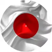 Slipmat Slip Mat Felt for any 12" Turntable LP DJ Record Deck Player FLAG JAPAN