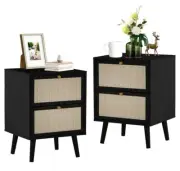 Nightstand Set of 2 Wooden Bedside Tables Storage for Living Room Bedroom