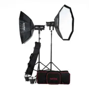 Godox SL200II LED Daylight - 2 Head Octa Softbox Kit