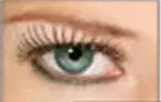BLACK TINSEL FAKE EYELASHES WITH ADHESIVE ACCESSORY