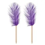 Feather Ballpoint Pens Bulk, 2Pcs Writing Pens Style 1, Dark Purple/Rose Gold