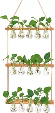 XXXFLOWER Wall Hanging Propagation Station with Wooden Stand 5 Bulb Vase
