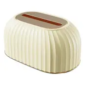 Multifunctional Tissue Box Living Room Mask Sundries Desktop Dividing Storage Box Dust Belt Cover A