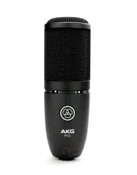 在飛比找Yahoo!奇摩拍賣優惠-【反拍樂器】免運 AKG P120 黑色 電容式麥克風 12