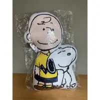 在飛比找蝦皮購物優惠-SNOOPY 抱枕 史努比&查理