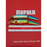 在飛比找蝦皮購物優惠-RAPALA 拉帕拉關節鰷魚 J13