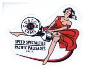 Custom Cams - Decal -