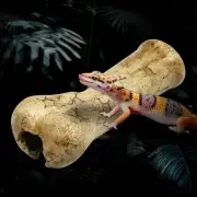 Reptile Rock Hide Cave Decorative Resin Shelter for Turtles Reptiles Lizards