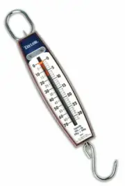 Taylor 3070 Industrial Vertical Hanging Scale W/ Hook 70 Pound / 32 KG Capacity