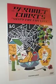 Poster - PARQUET COURTS sympathy for life / the band g