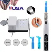 Dental Ultrasonic Scaler LED Handpiece Bottle /Cordless Hygiene Prophy Handpiece