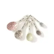 Magenta Rae Dunn Stem Print Measuring Spoon Set