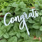 Acrylic Silver 'Congrats' Cake Topper