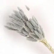 19 Inch Natural Bunny Tails Dried Flowers，Bohemian Style，Pampas Grass Decor，120 Pcs Dried Flowers，Eternal and Preserving Floral Arrangement in Home Decoration ﻿(Haze Grey)